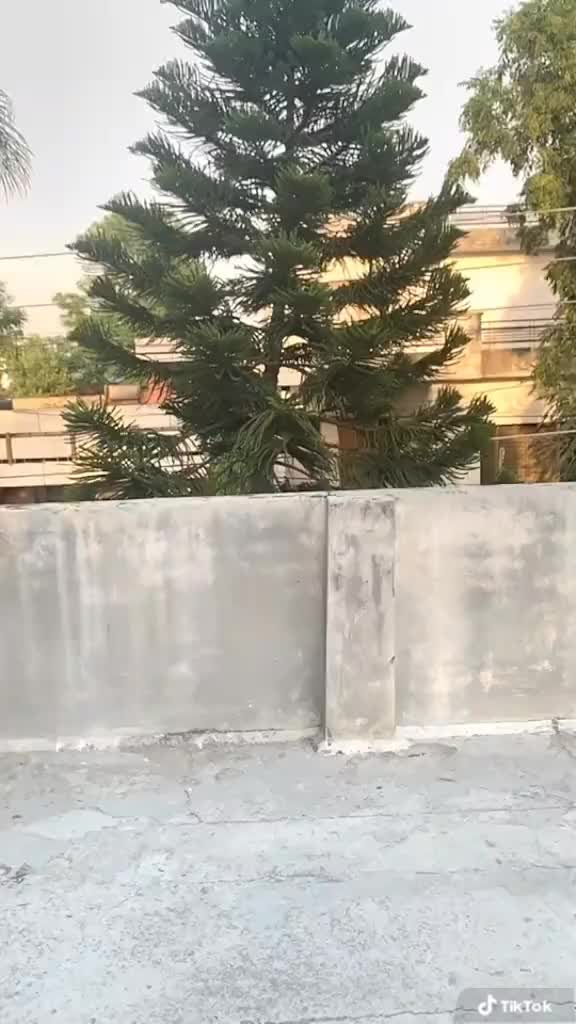 @Chetan Sharma🤙