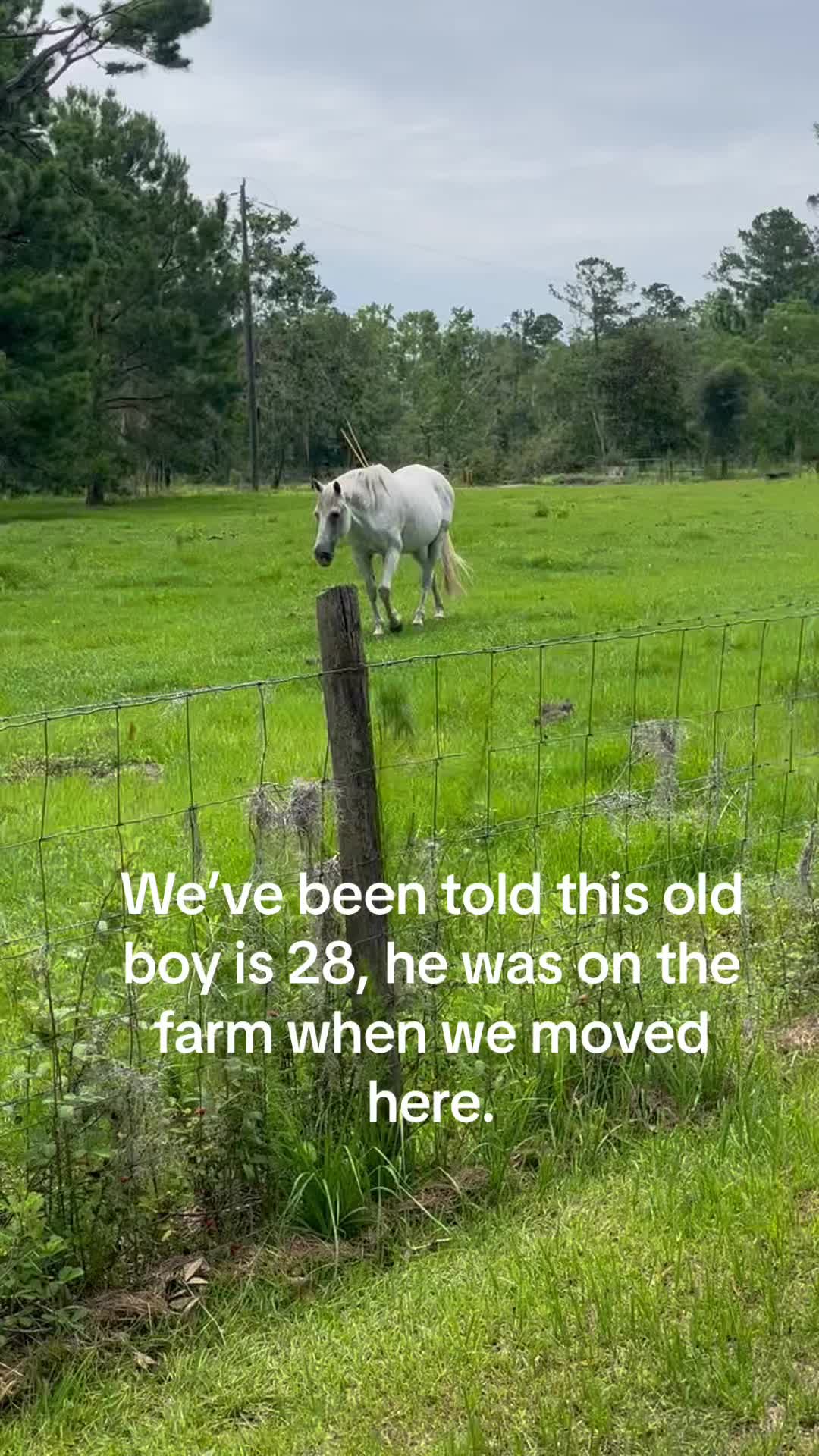 @Kelley Farms