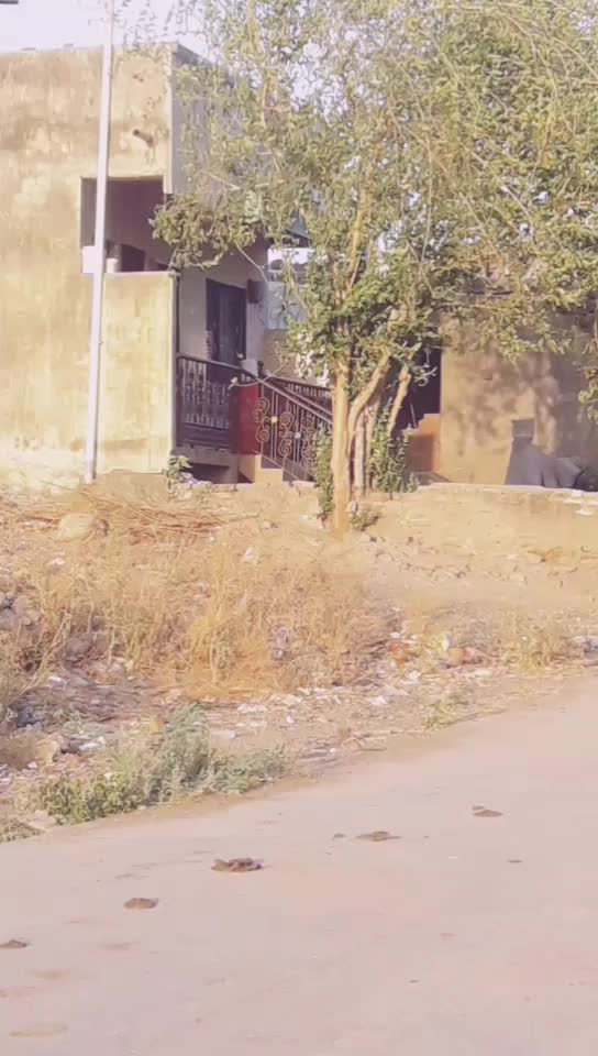 @Nitin_borse@5785