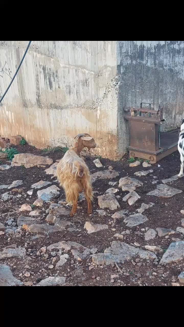 @Μιχαλης Αθητακης290