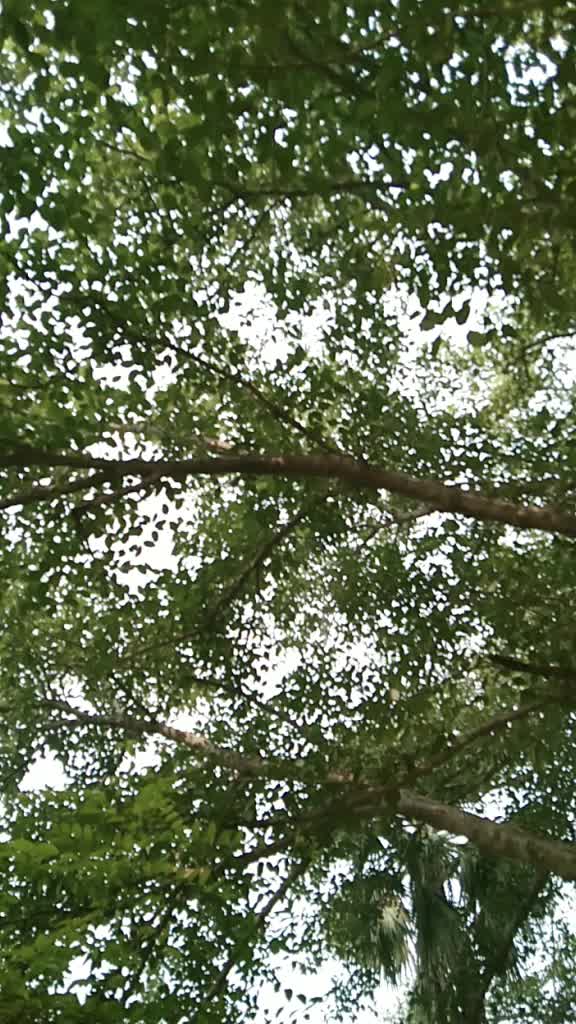 @Saiyam Baranwal