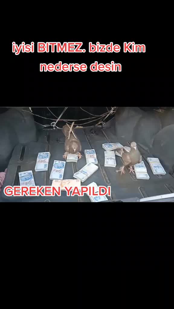 @Murat Makarnacı