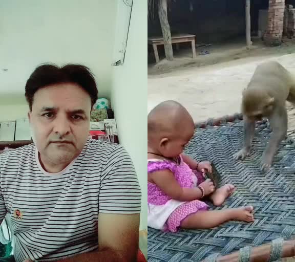 @hareshbajaniya