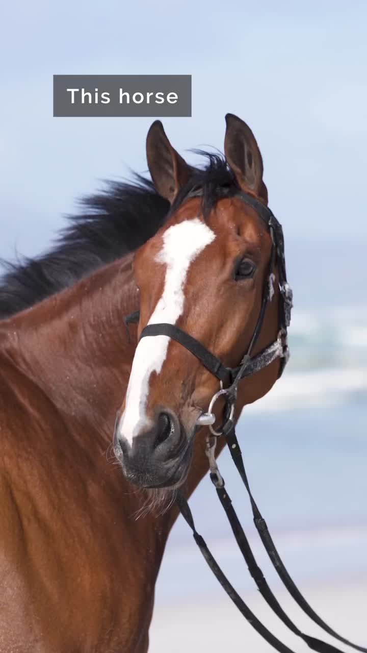 @Snaith Racing