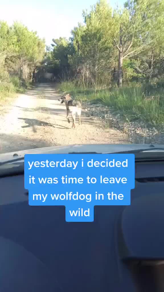 @whitefang9
