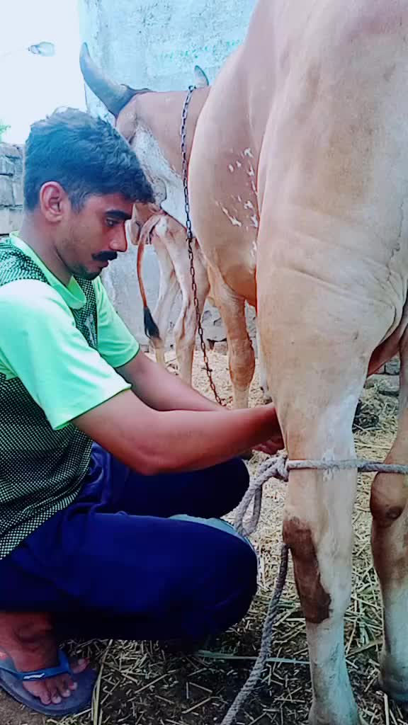 @Mojilo.MalDhari