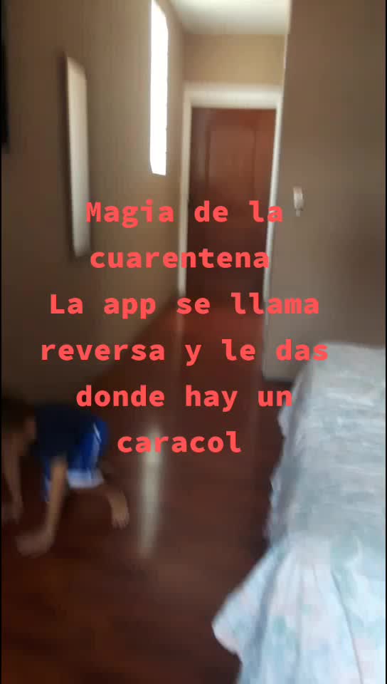 @user6878315613055