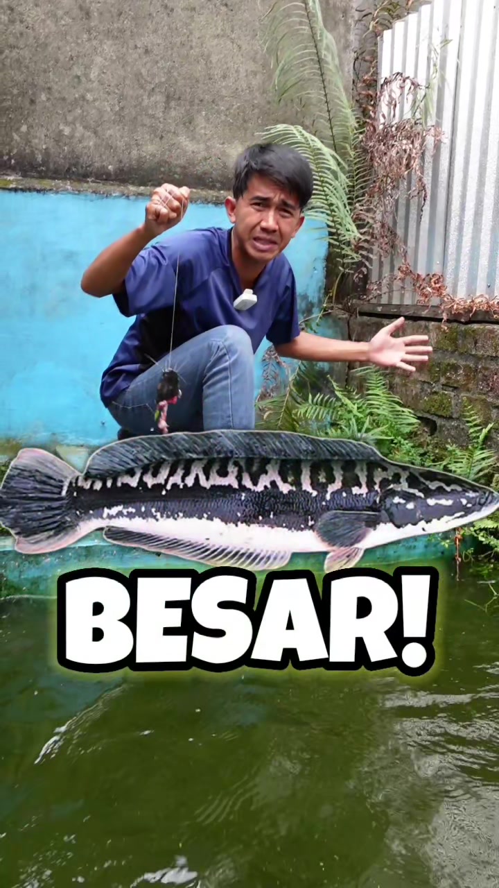 @imam noer