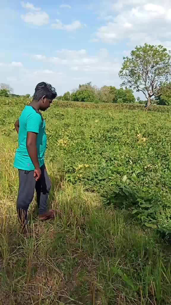 @Perarasu Perarasu