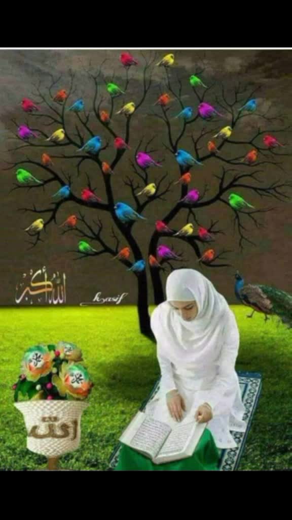 @Sk Irfan