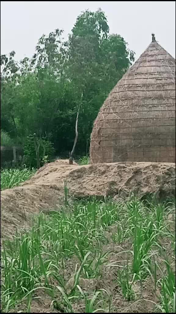 @user6424130769860