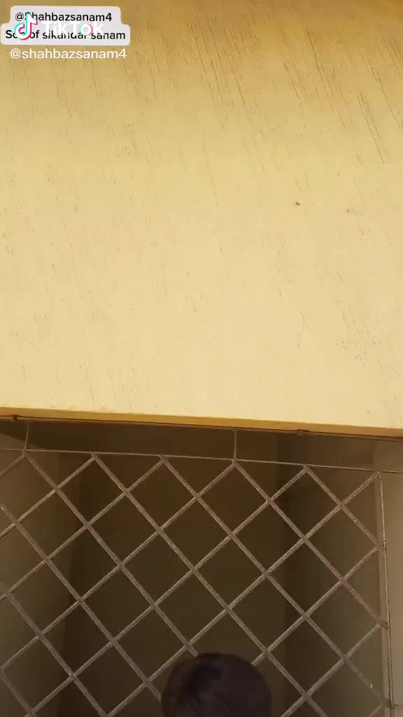 @BILAL ALI (BALI)