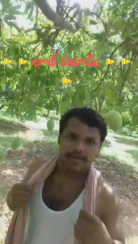 @💪GOUDSAAB BOLTHEY💪