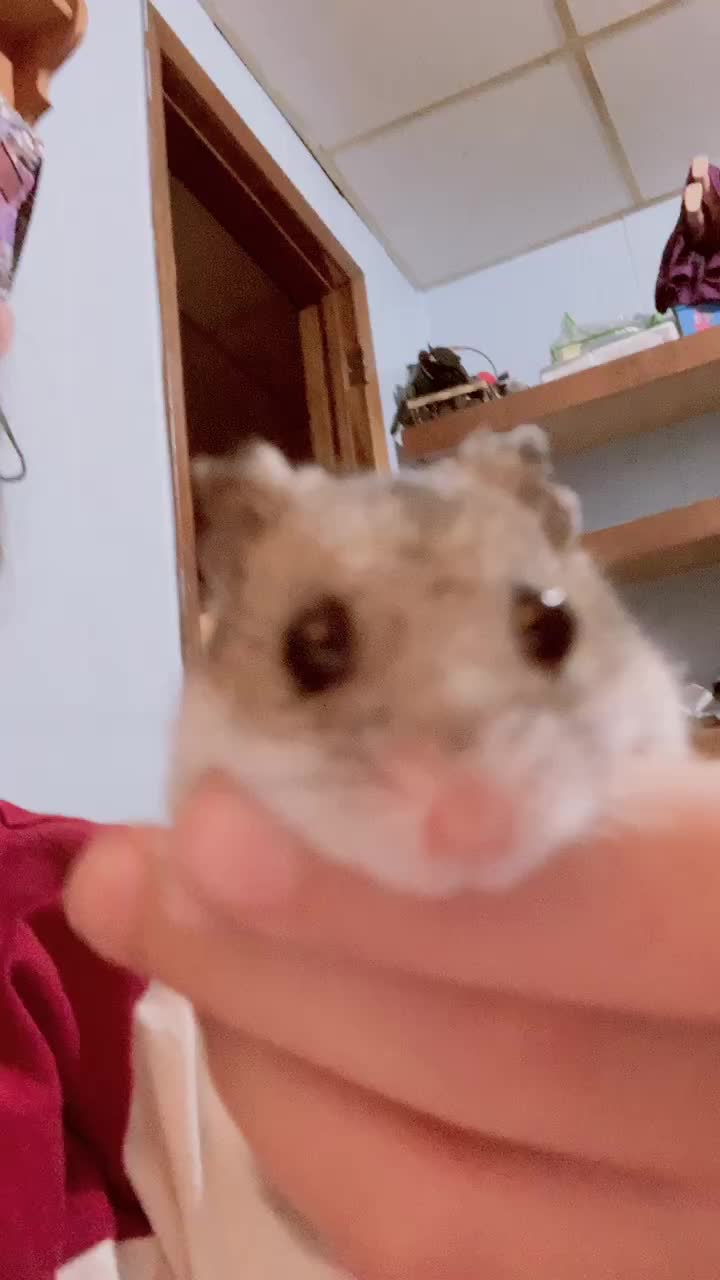 @Hi I’m bob let’s be friends!!!