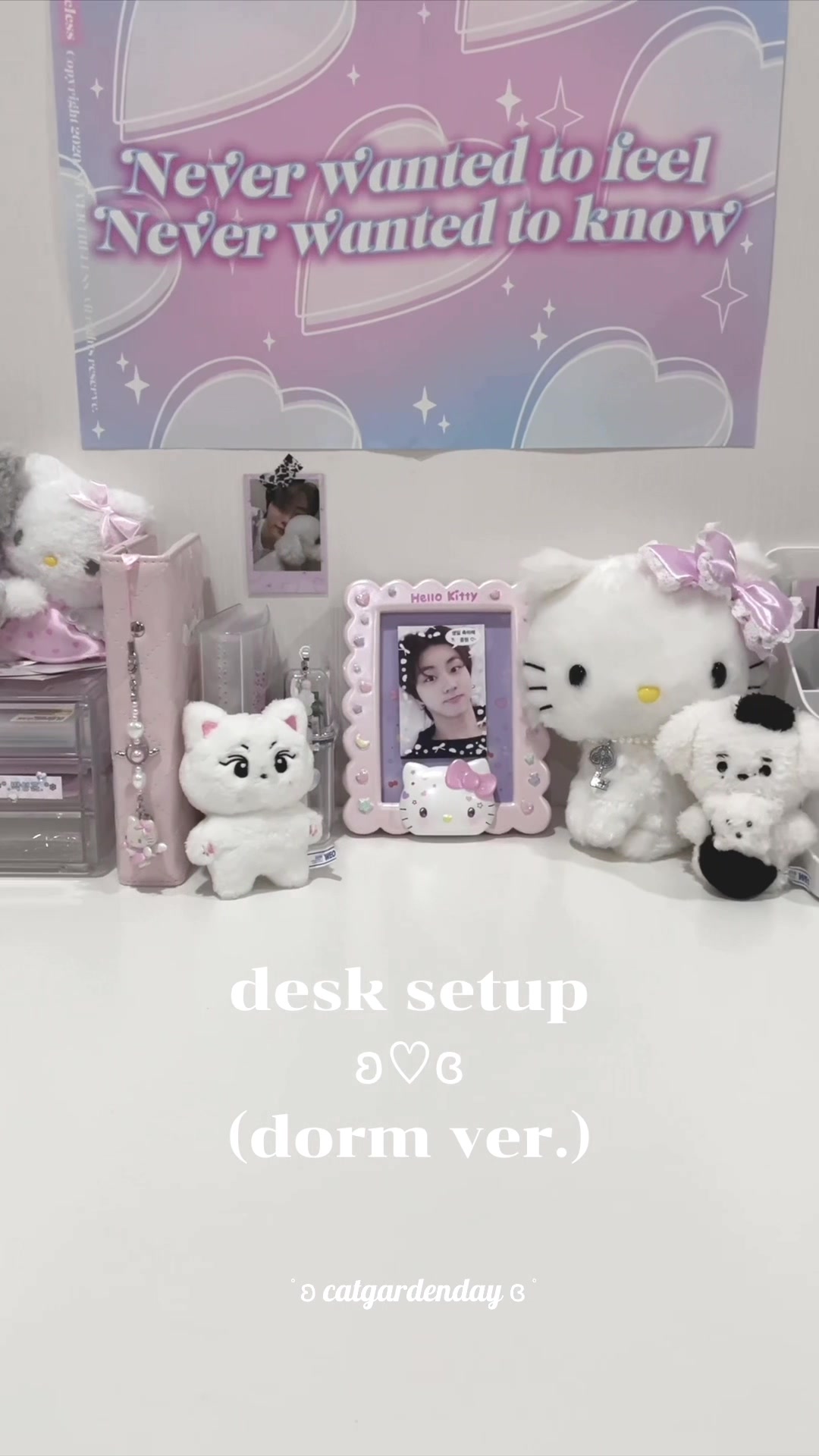 @♡。· ˚· 몽이🐾 ·˚ ·。♡