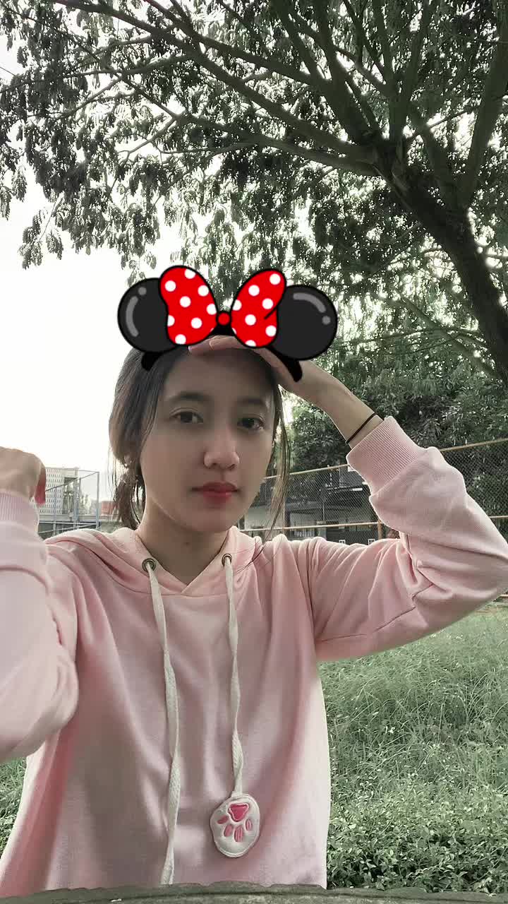 @dinii