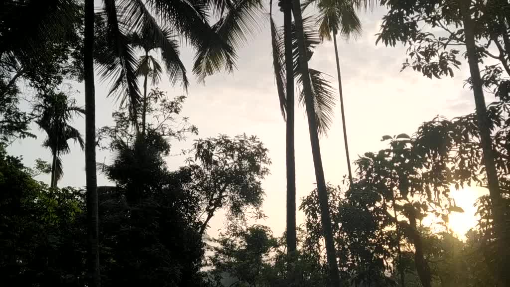 @Aj_dhruva
