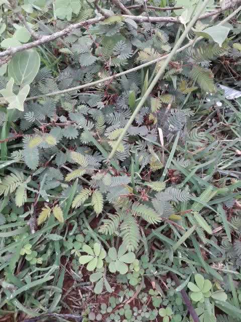 @Sudhir Kamble