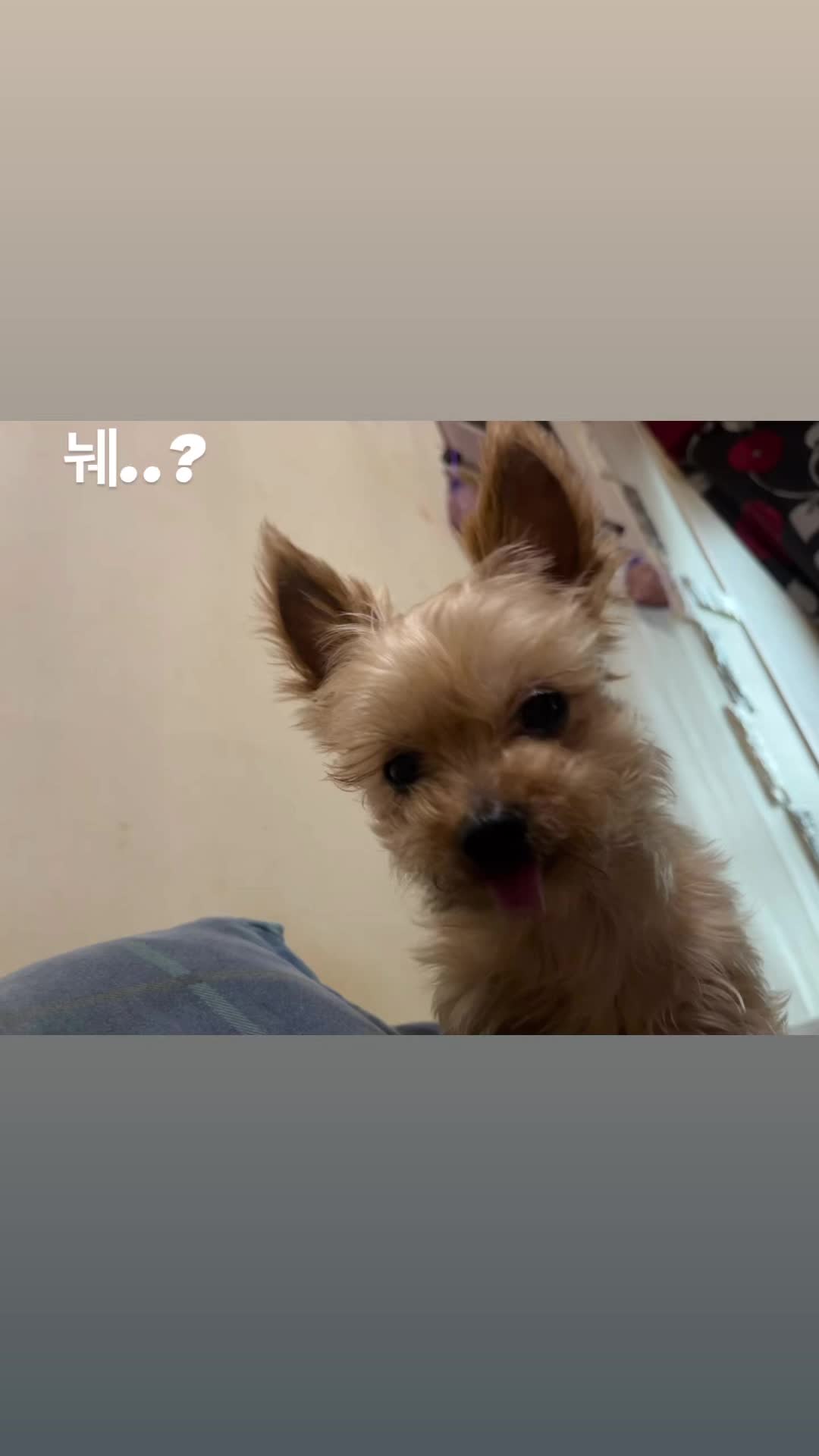 @가시나야 좋아한데이 😍