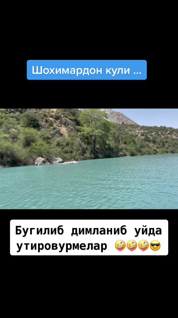 @Доктор 👨⚕️ IQ