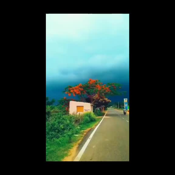 @.....мσηιѕн αℓι....