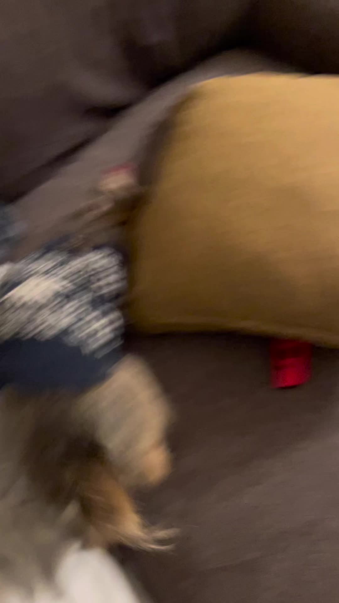 @Emily Hidalgo