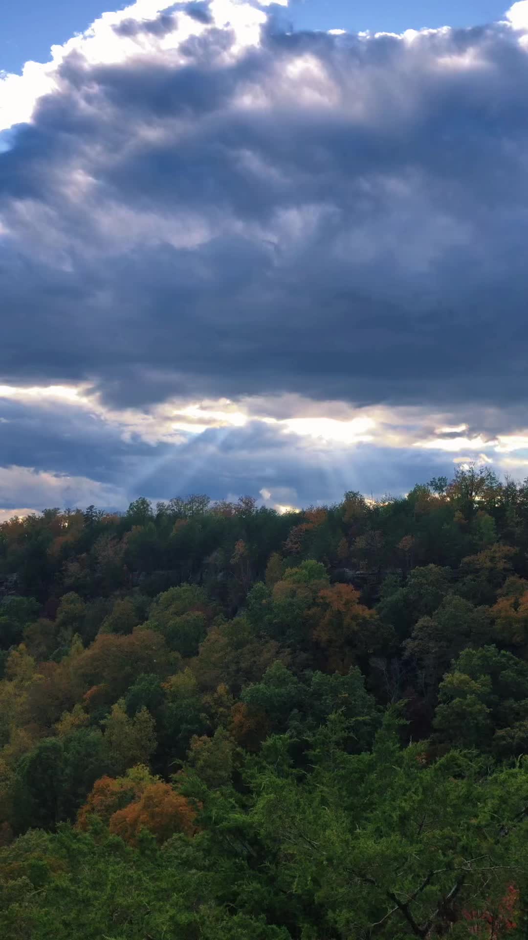 @Richie