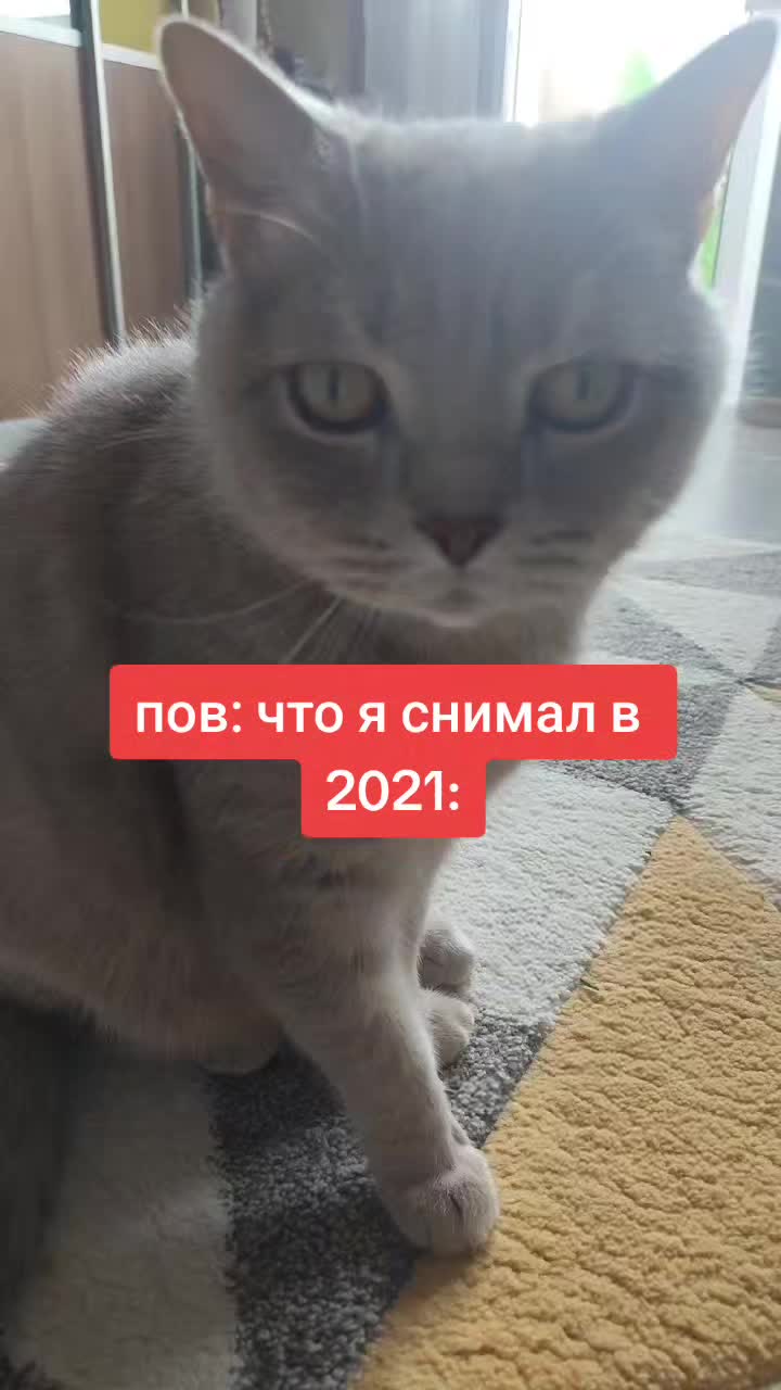 @꧁ꕥ𖠌😻𝓛𝓮𝓿&𝓔𝓶𝓶𝓪𓃠✪ꕥ꧂