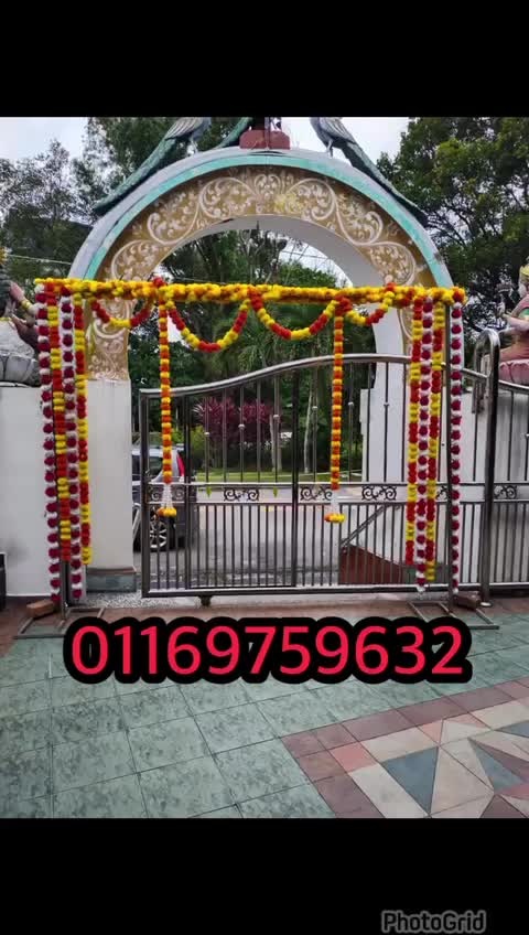@Mani Ruddy