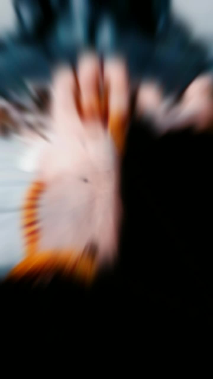 @๐ค____P.K____๐ค