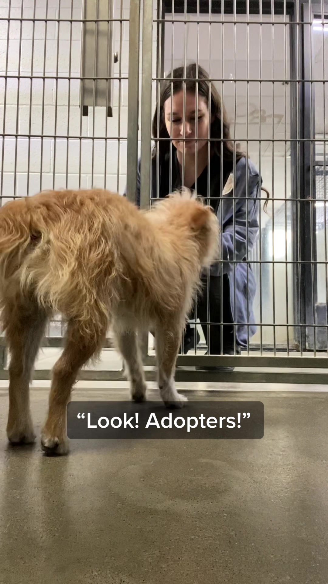 @Ramona Pets