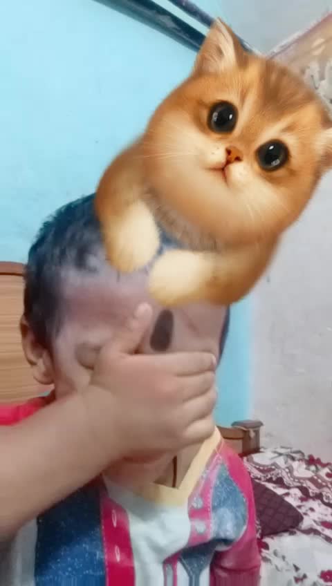 @padmasankar123