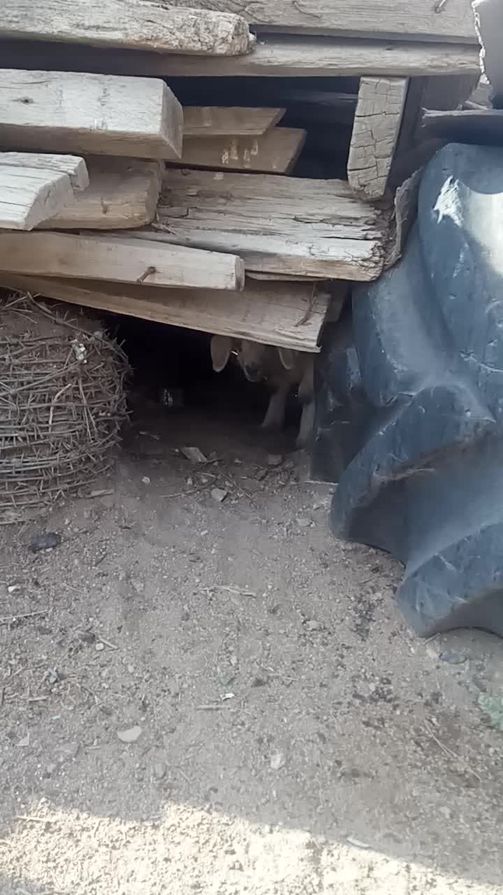 @Андабаев Ілияс