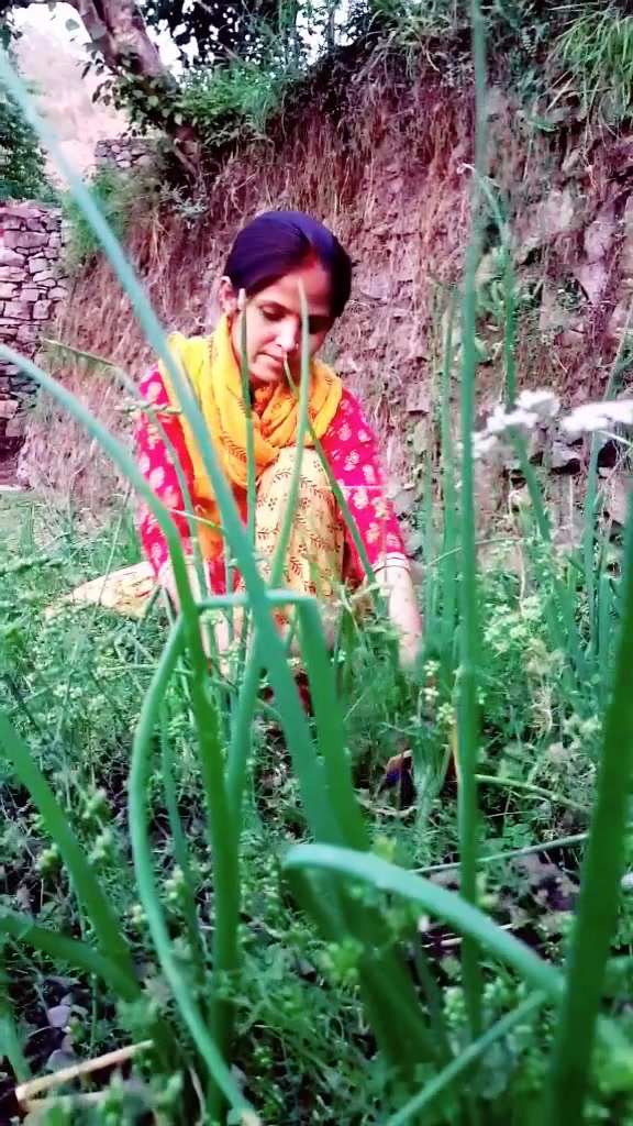 @Laxmi Chauhan