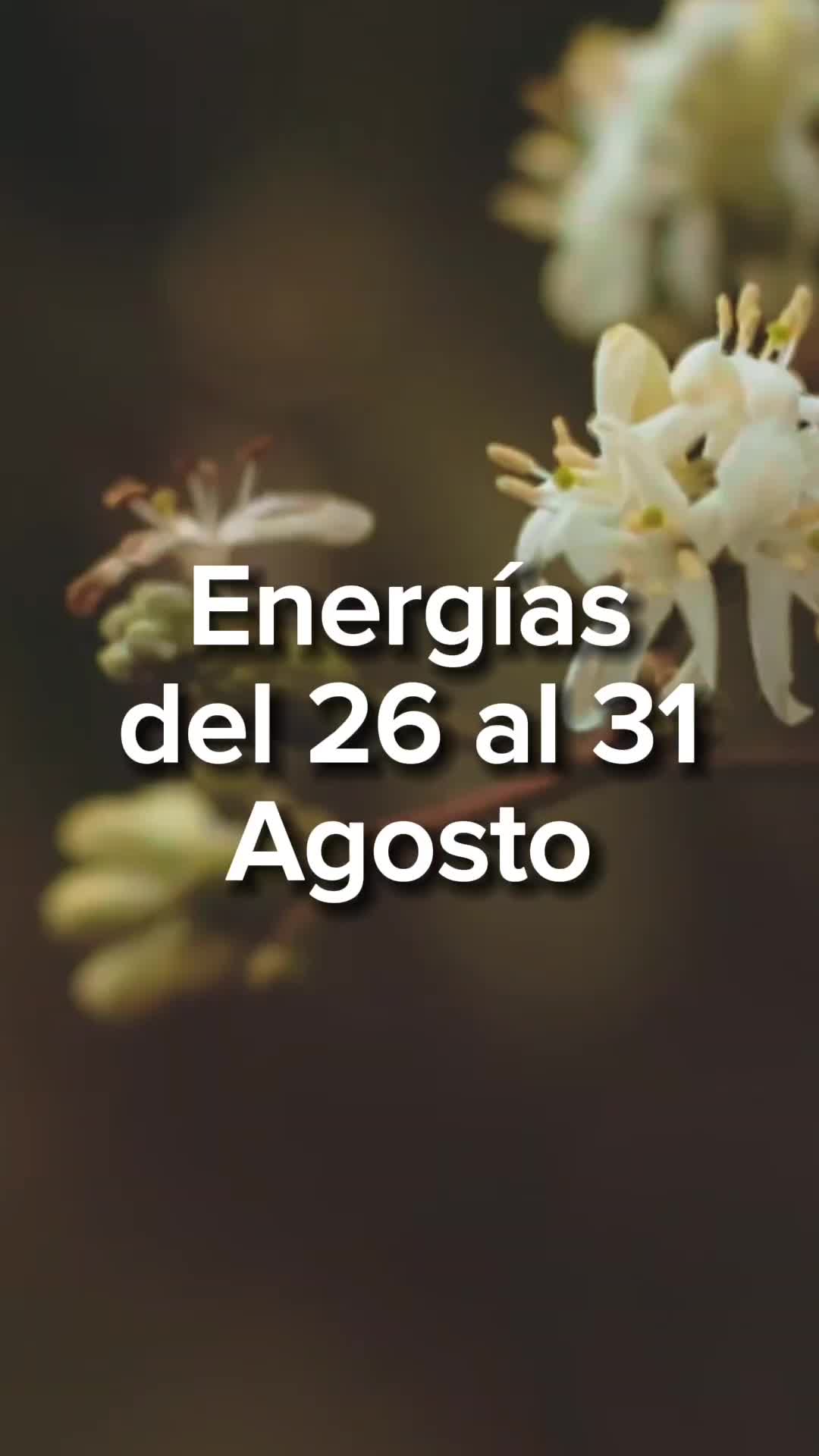 @numerosescenciales