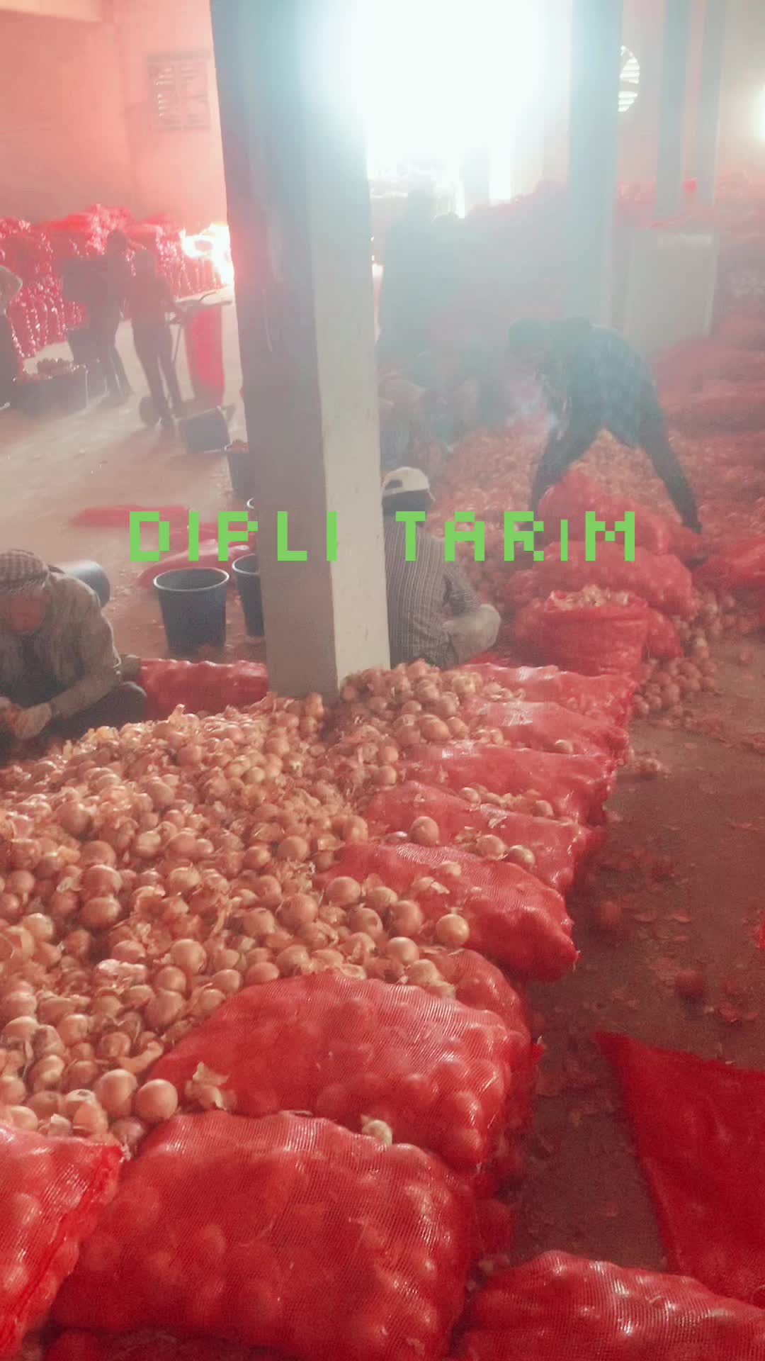 @Mesut &Ccedil;ift&ccedil;i