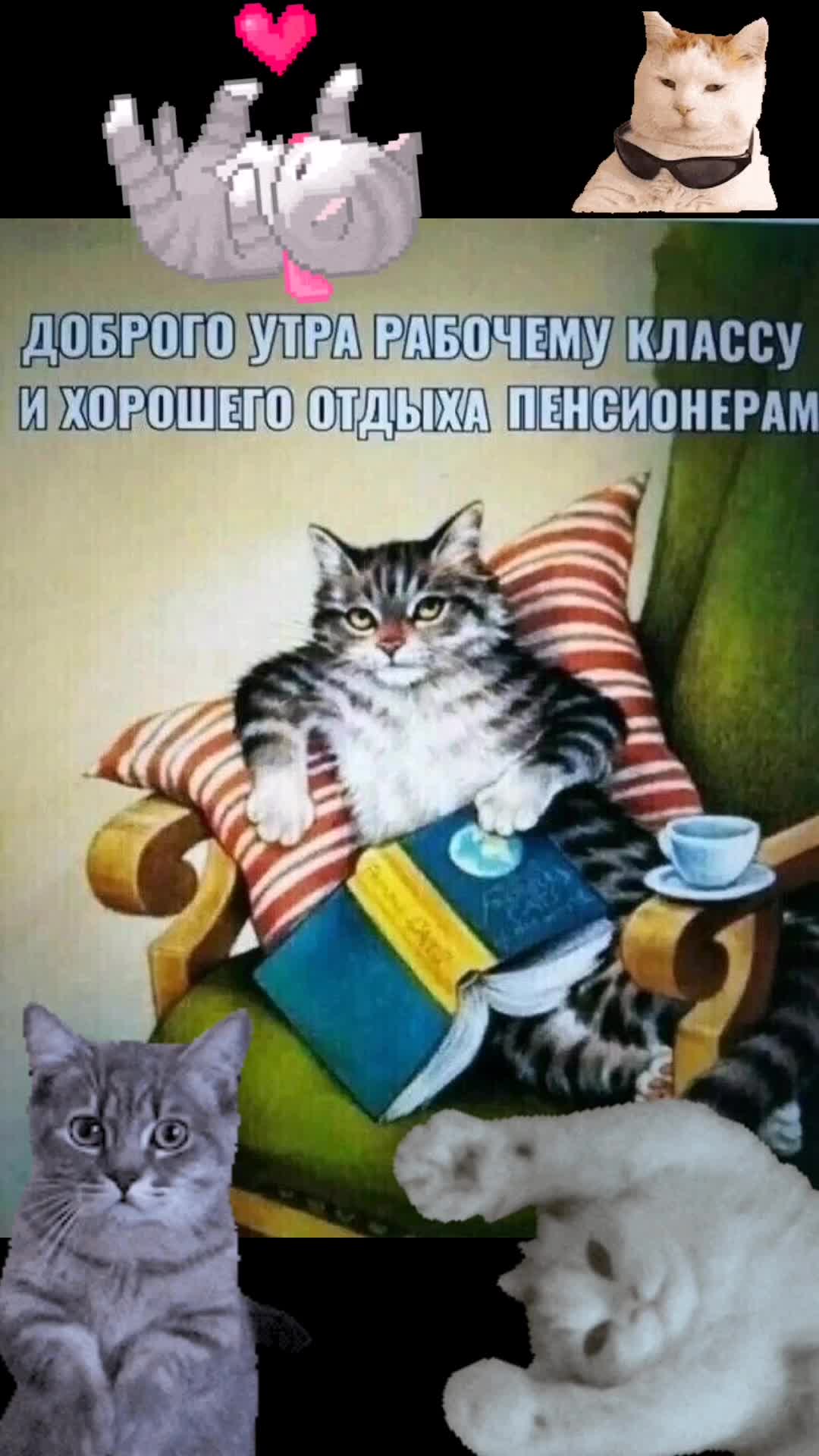 @Дракоша
