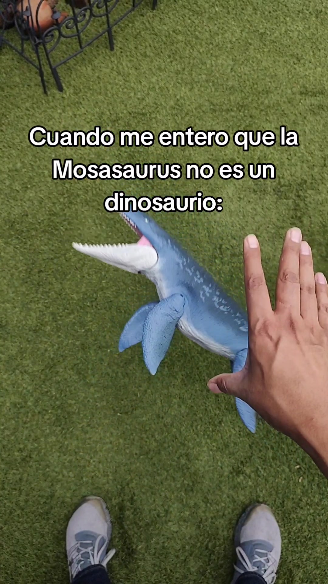 @Informando Toy