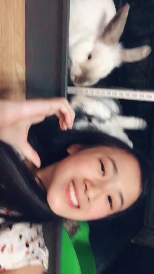 @🐰❤️