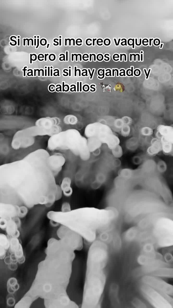 @Adolfo Díaz🤠