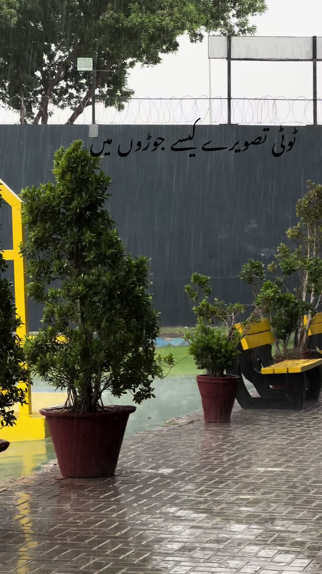 @Zeen