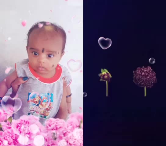 @sudhiksha