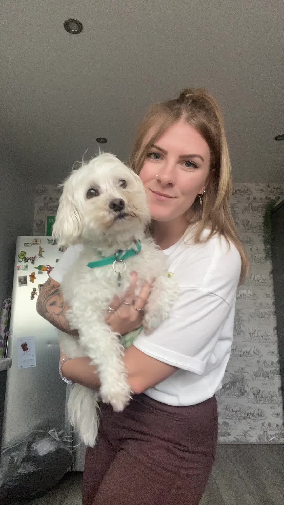 @Ladysciver