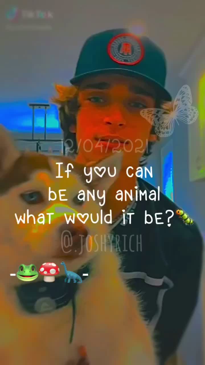 @Daniel || 1.9k ||
