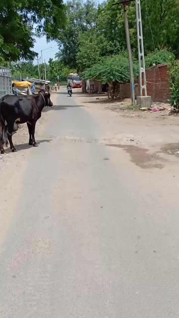 @Thori Sachin