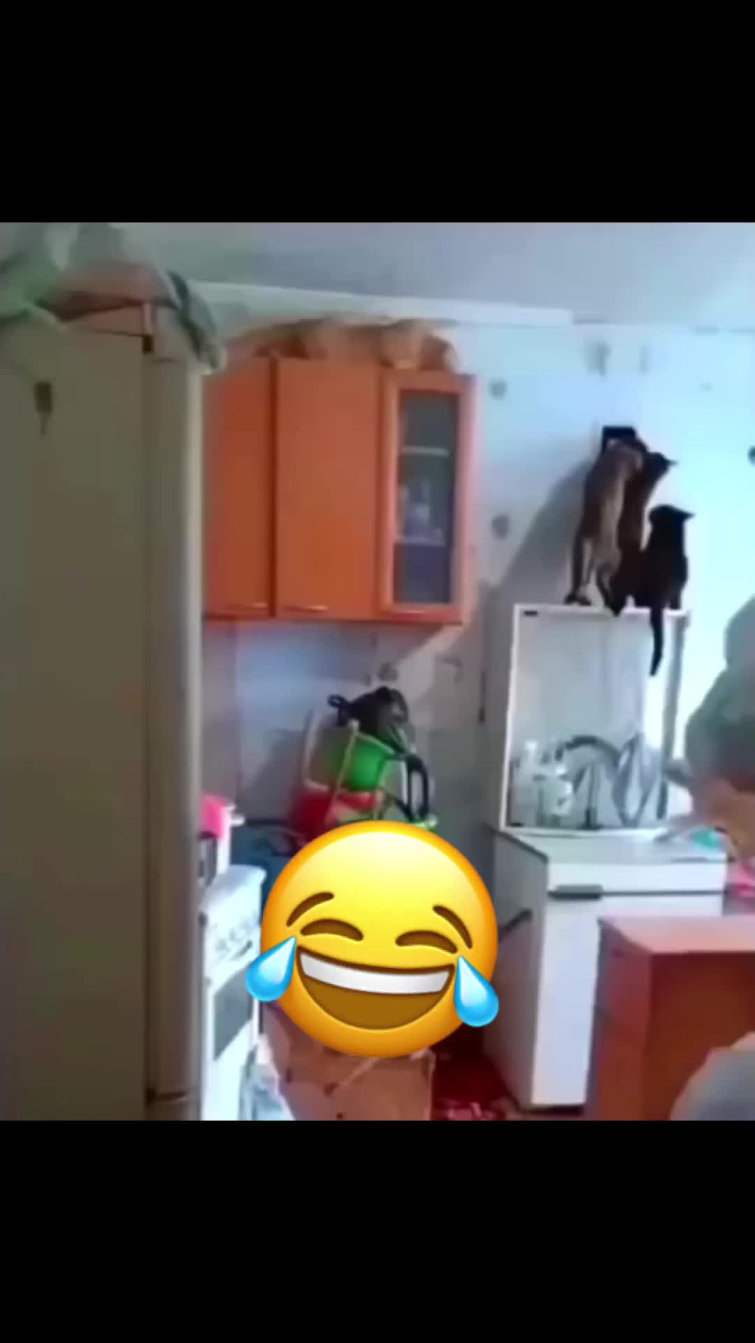 @عبد الكبير التوجري