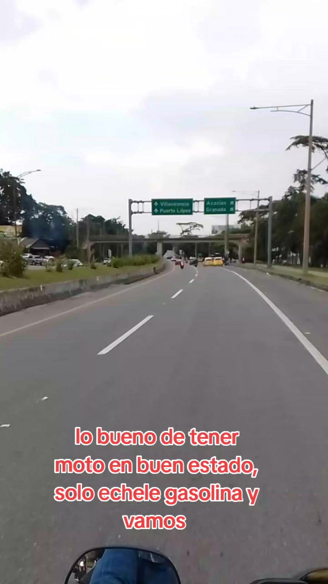 @Lizita Ro