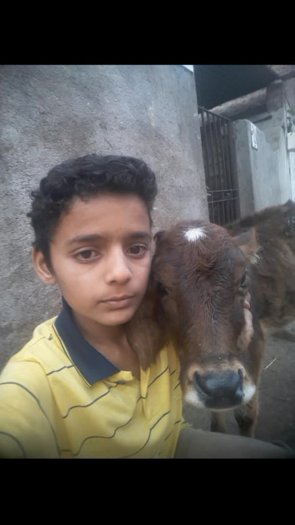 @Kunal Rabari 81 82
