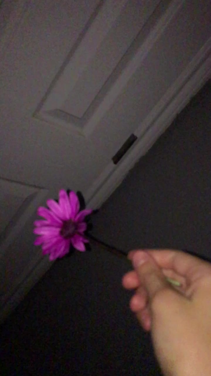@faye.vaughn