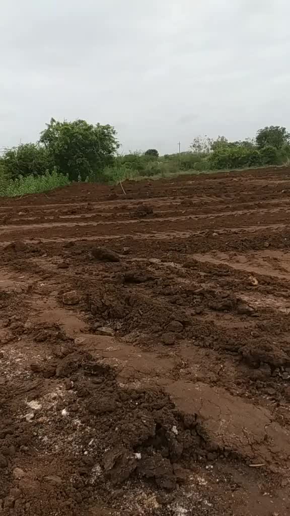 @varaprasad varma